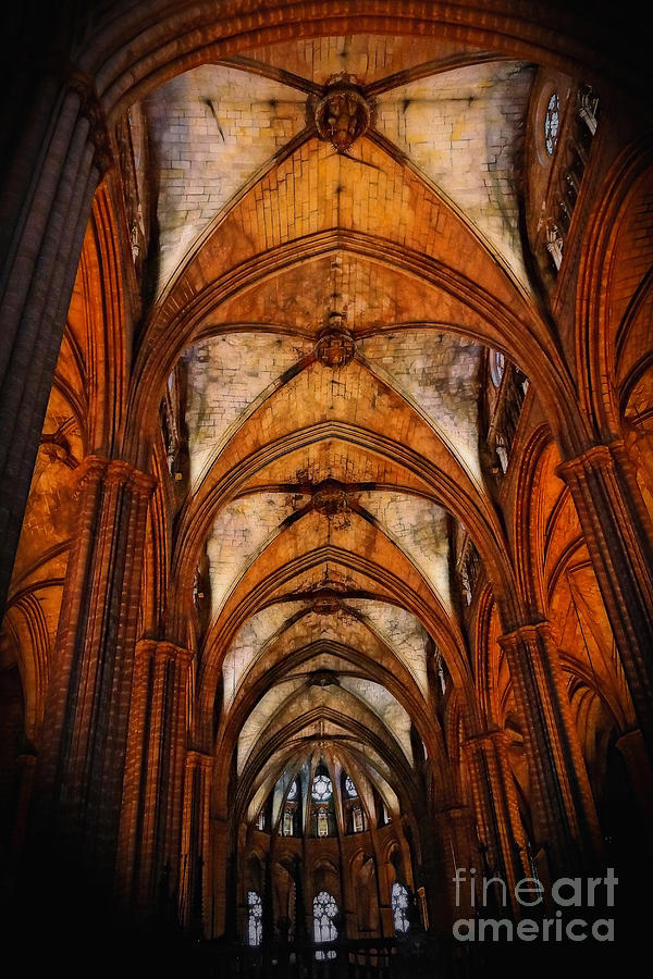 Barcelona Photograph - The Barcelona Cathedral Ceiling by Sue Melvin