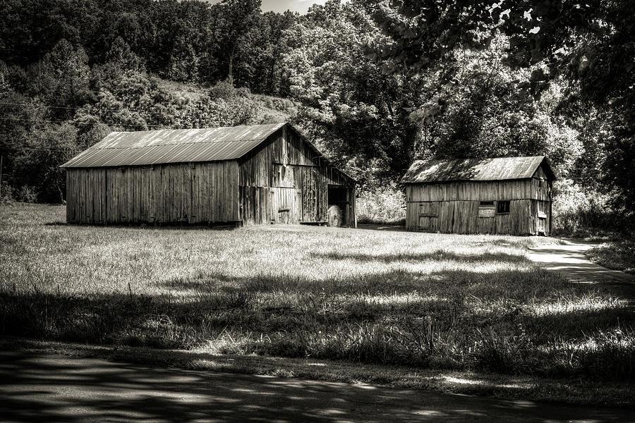 The Barn and the Shed Photograph by Douglas Barnett