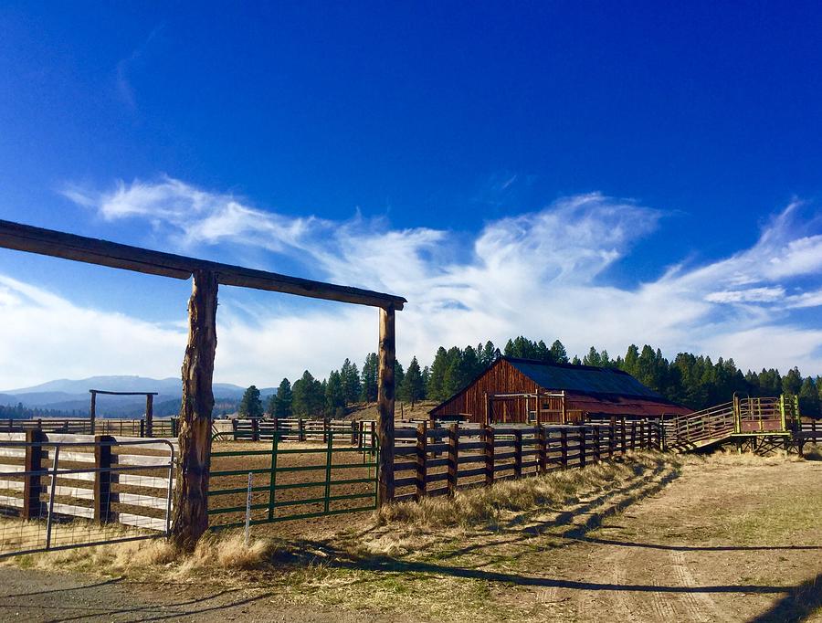 The Barn Fence Photograph by Jennifer Lake