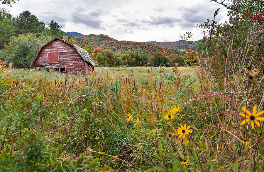 The Barn in Keene Valley Photograph by Sandy Roe