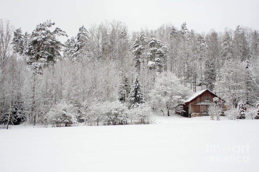 Winter Photograph - The barn in winter landscape by Esko Lindell