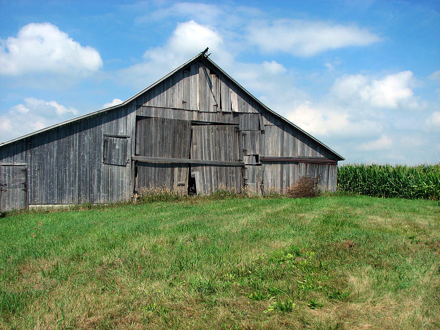 The Barn Photograph by Joanne Coyle