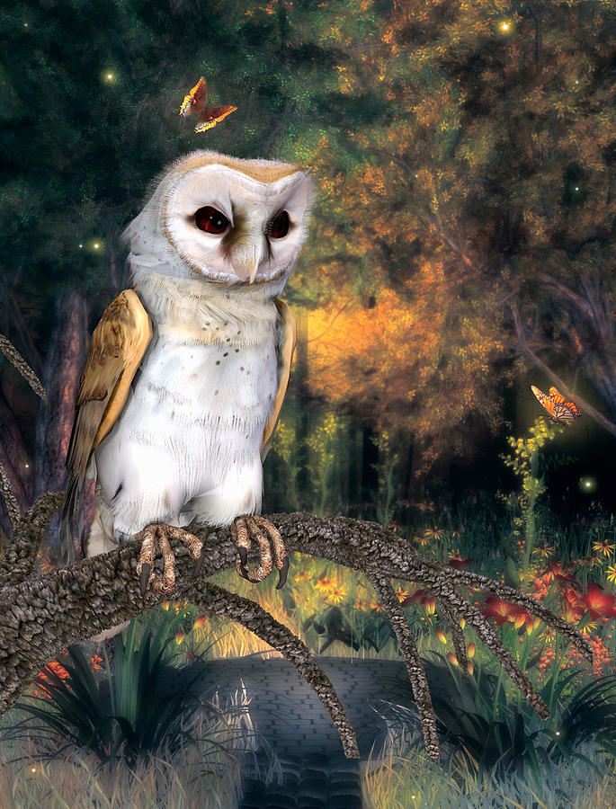 The Barn Owl Digital Art by John Junek