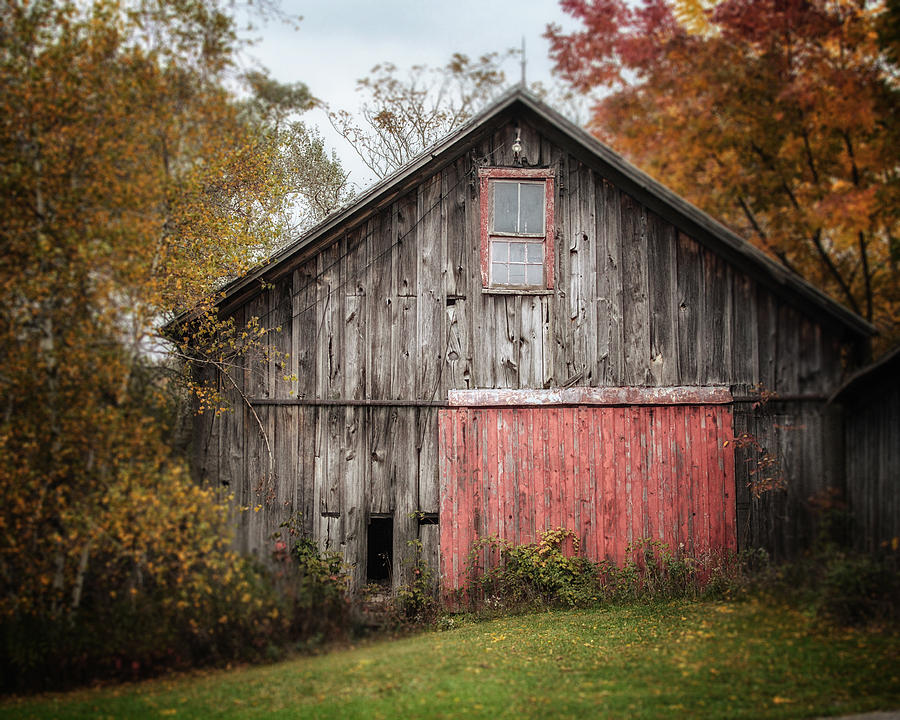 Fall Photograph - The Barn with the Red Door by Lisa R