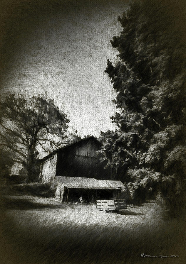 Tree Photograph - The Barn Yard Wagon by Marvin Spates