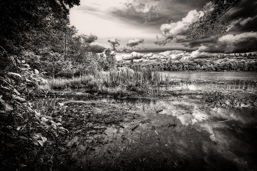 Spring Photograph - The Basin and Snails by Bob Orsillo