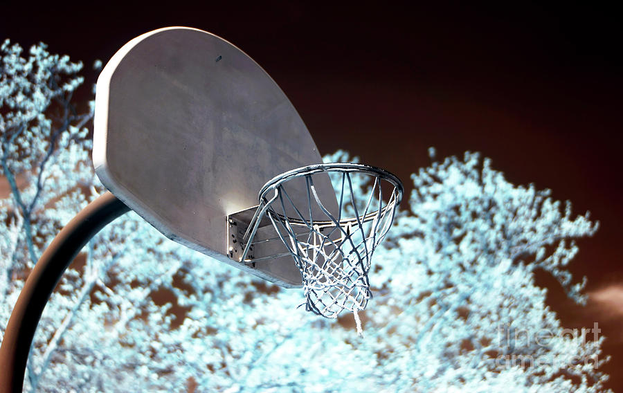 The Basket Photograph by John Rizzuto