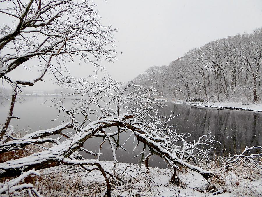 The Bass River in the Snow Photograph by Scott Hufford