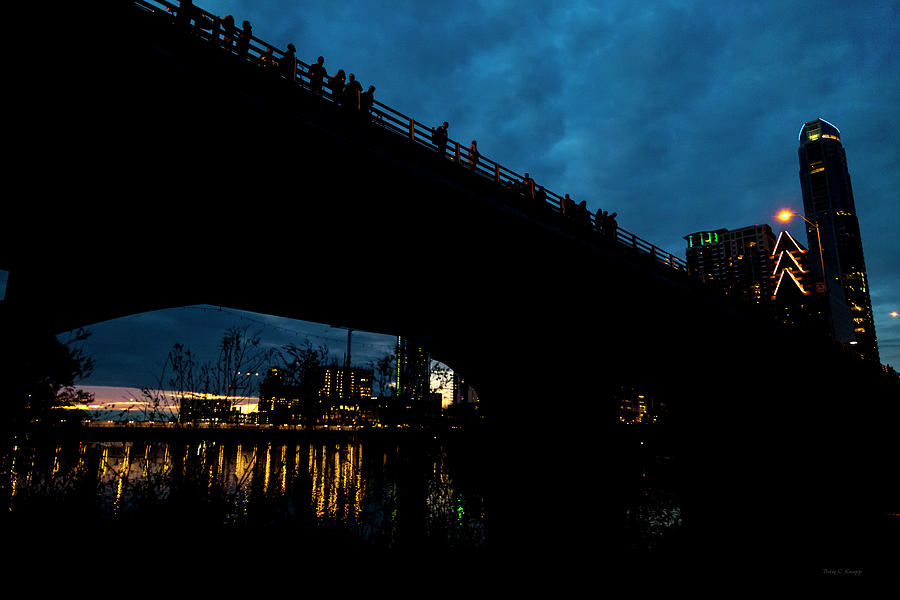 The Bat Bridge Austin Texas Photograph by Betsy Knapp