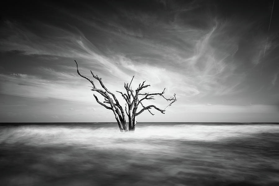 Black And White Photograph - The Bay by Ivo Kerssemakers