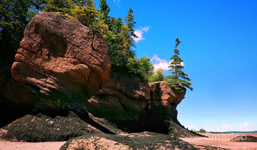 The Bay of Fundy Photograph by Mary Capriole