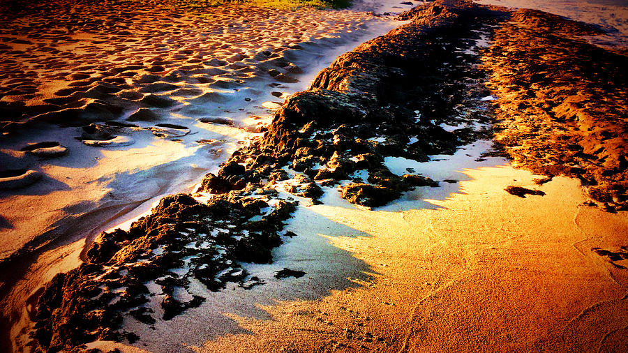 The Beach 5 Version 1 by Kristalin Davis Photograph by Kristalin Davis
