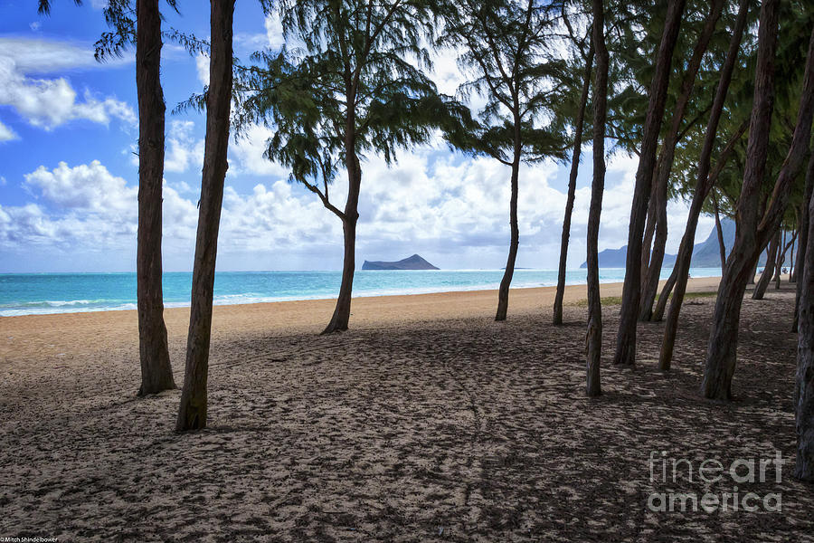 The Beach At Waimanalo Photograph by Mitch Shindelbower