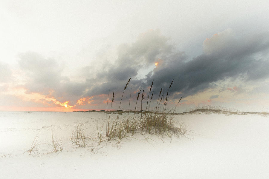 The Beach Photograph by Scott Slone