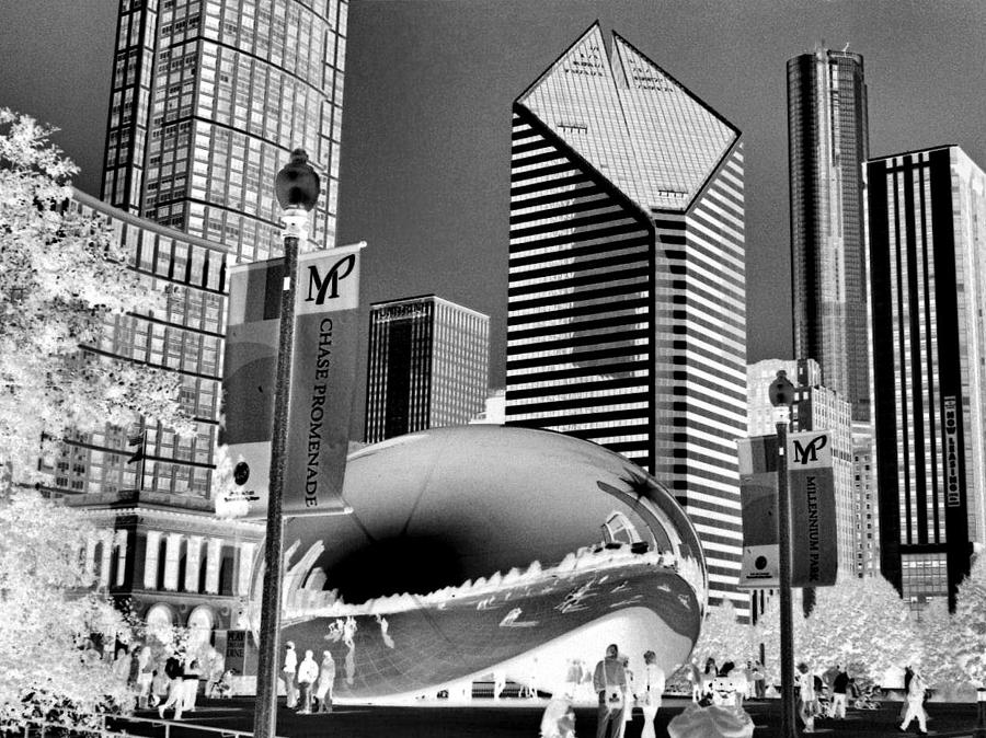 The Bean Photograph - The Bean - 2 by Ely Arsha The Bean Photograph - The Bean - 2 by Ely Arsha