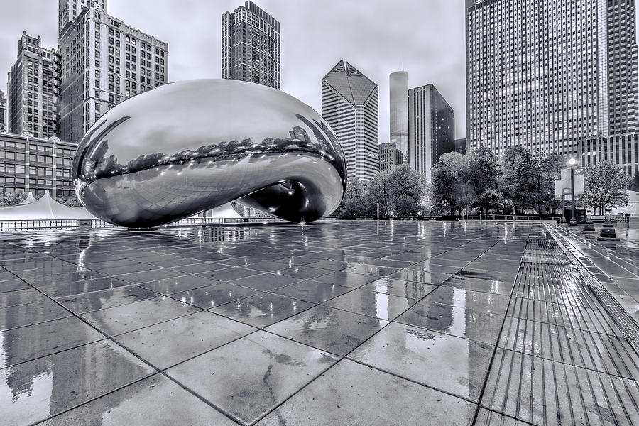 The Bean Black and White 01 Photograph by Josh Bryant