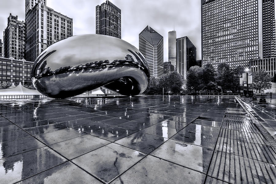 The Bean Black and White 02 Photograph by Josh Bryant
