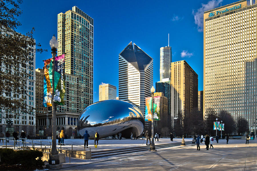 The Bean Photograph by Linda Unger