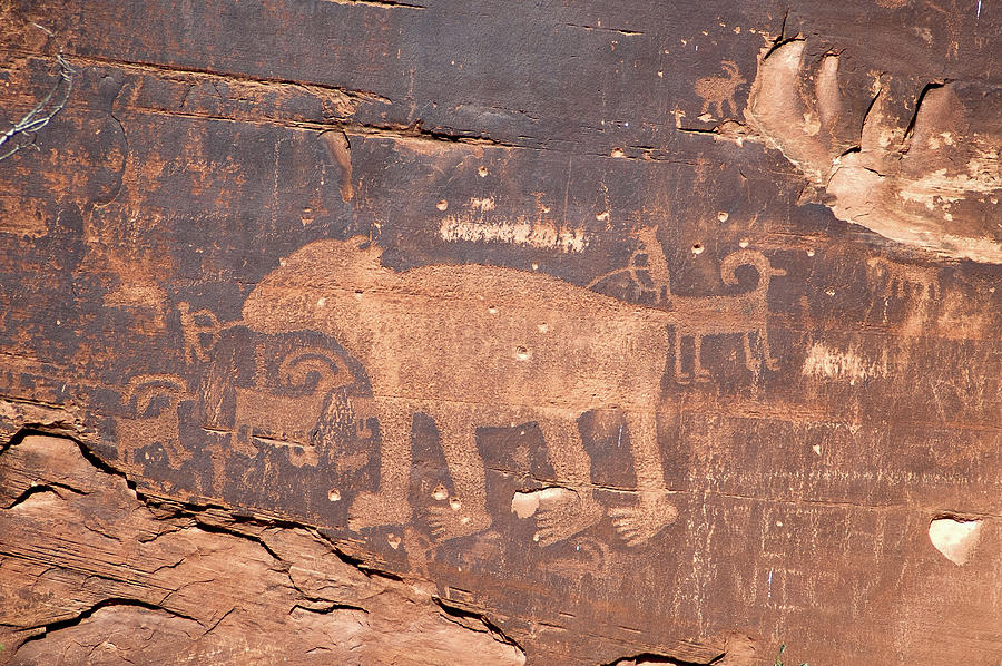 The Bear Petroglyph Photograph by Steve Stuller