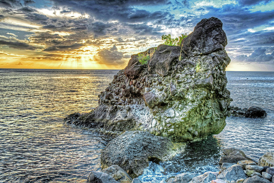 The Beast of Saint Lucia Anse Chastanet Anse Mamin Caribbean Photograph by Toby McGuire