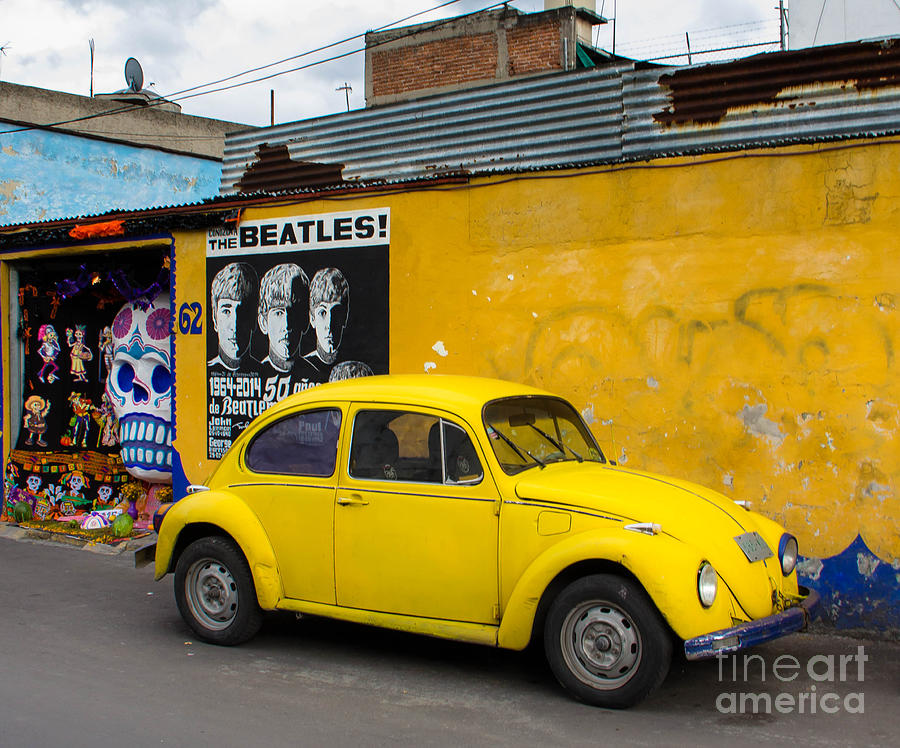 The Beatles with a Beetle Photograph by Amy Sorvillo