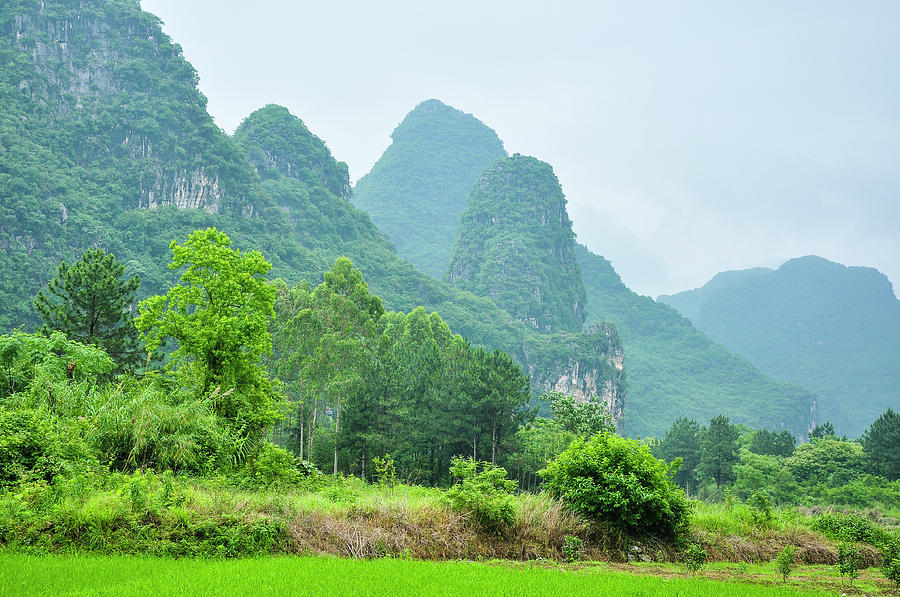 The beautiful karst rural scenery Photograph by Carl Ning