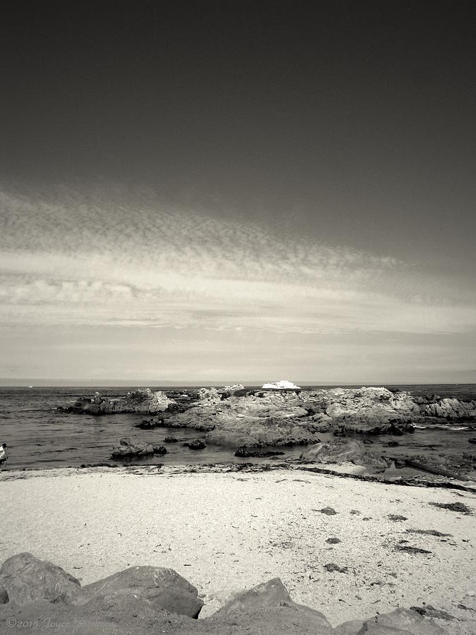 Unique Photograph - The Beautiful Monterey Bay Coastline B And W by Joyce Dickens