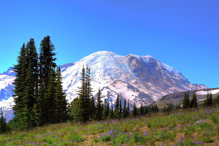 Landscape Photograph - The Beautiful Mt Rainier by David Patterson