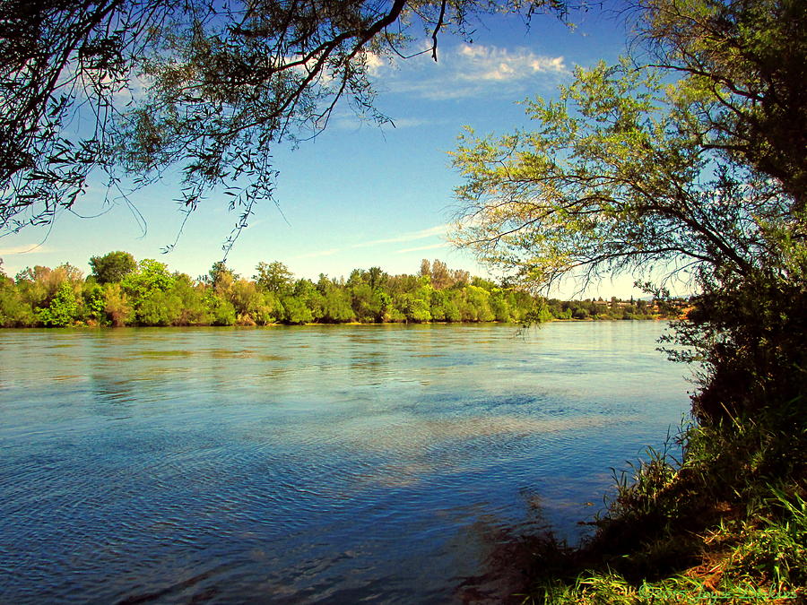 The Beautiful Sacramento River Anderson CA Photograph by Joyce Dickens