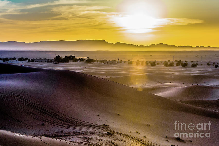 Dancing Shadows in the Dunes Photograph by Rene Triay FineArt Photos