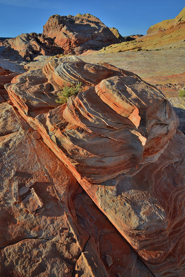 The Beautiful Sandstone of Valley of Fire Photograph by Ray Mathis