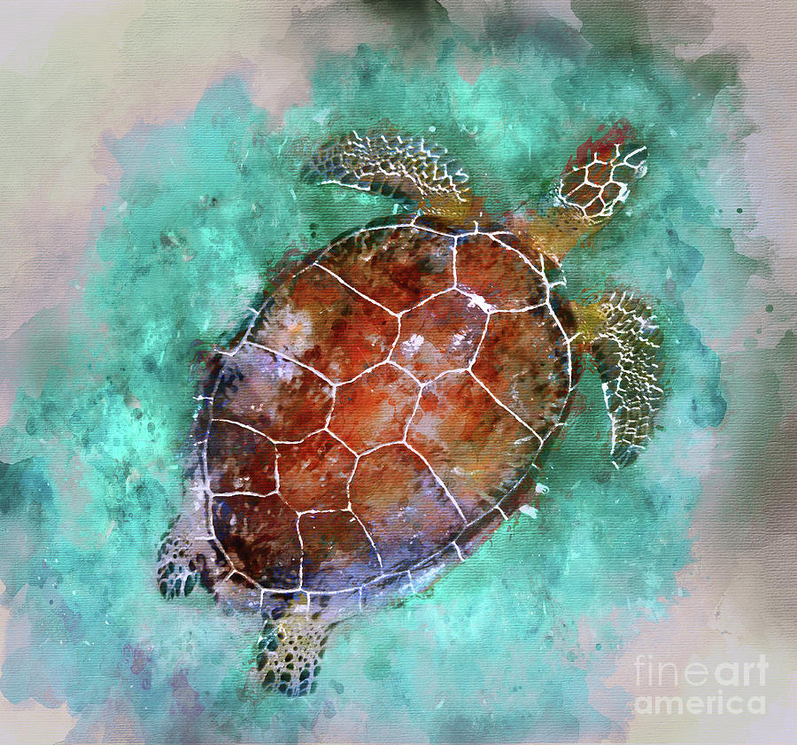 The Beautiful Sea Turtle Photograph by Jon Neidert