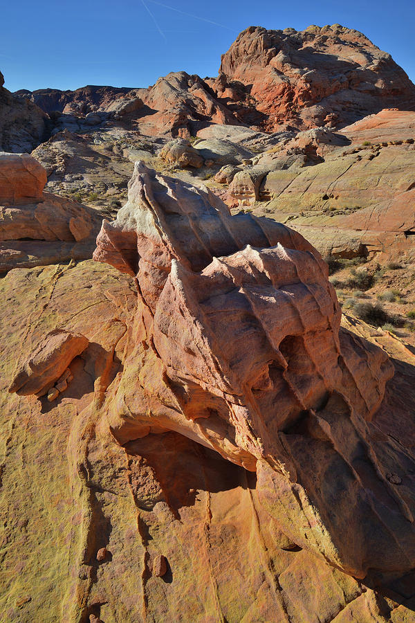 The Beautiful Shapes and Colors of Valley of Fire Photograph by Ray Mathis