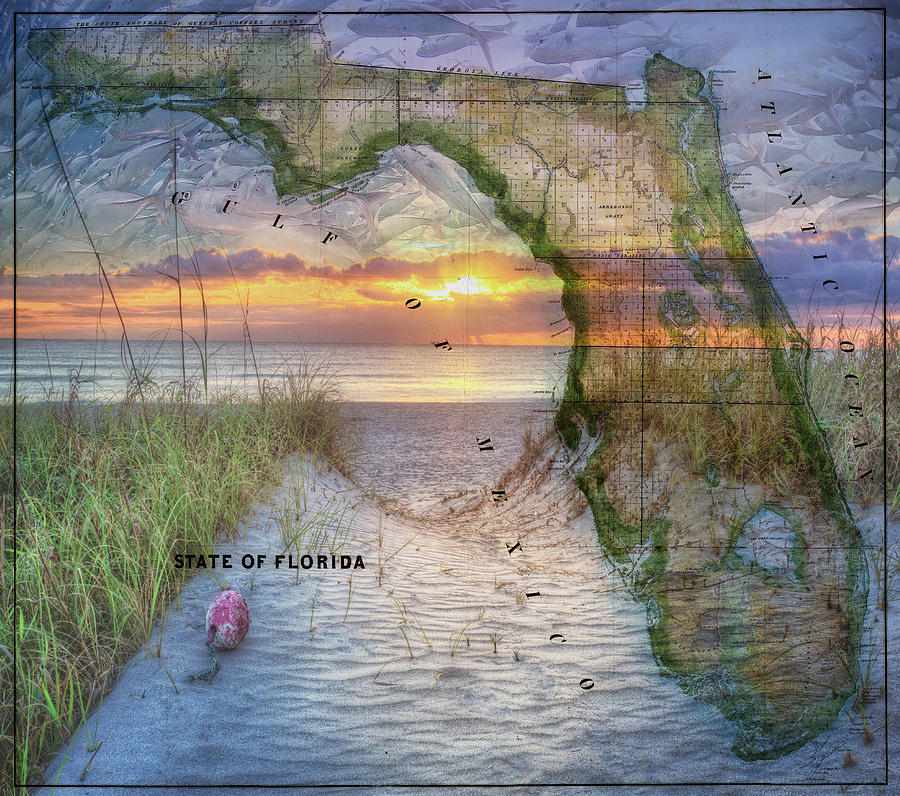 The Beautiful Sunshine State Photograph by Debra and Dave Vanderlaan