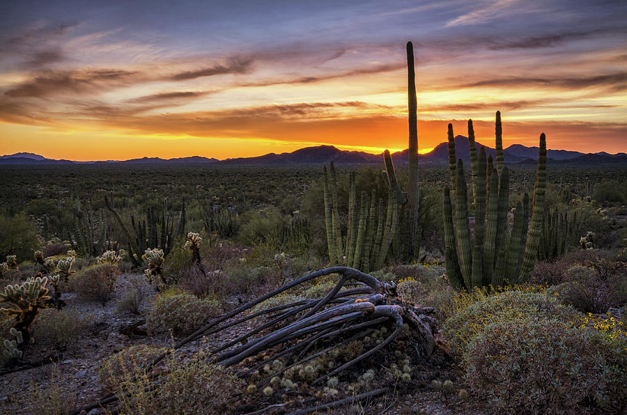 The Beauty of a Desert Sunset  Photograph by Saija Lehtonen