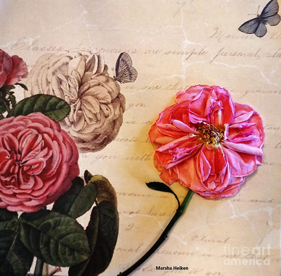 The Beauty of a Dried Rose Mixed Media by Marsha Heiken