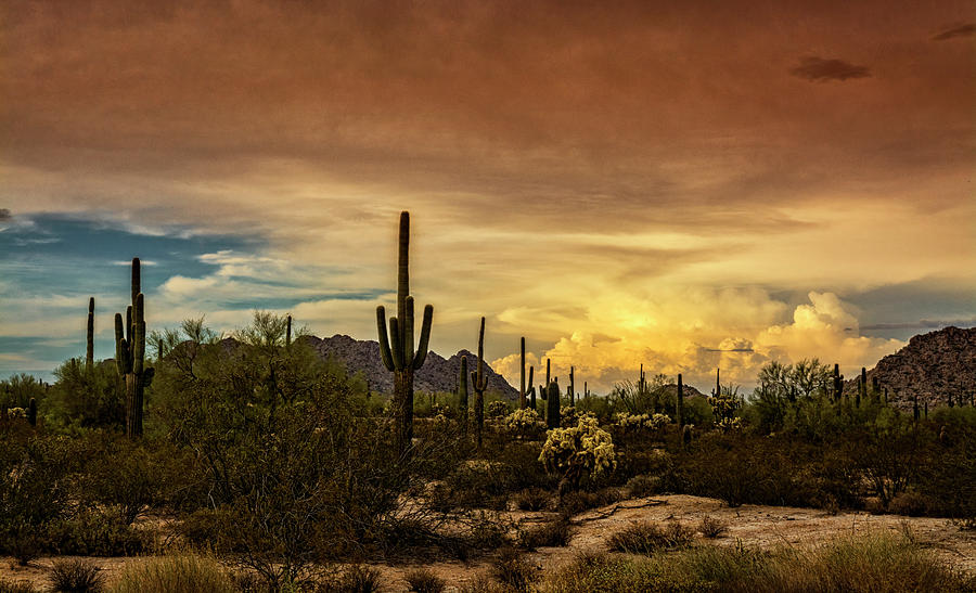 The Beauty of an Evening in the Southwest  Photograph by Saija Lehtonen