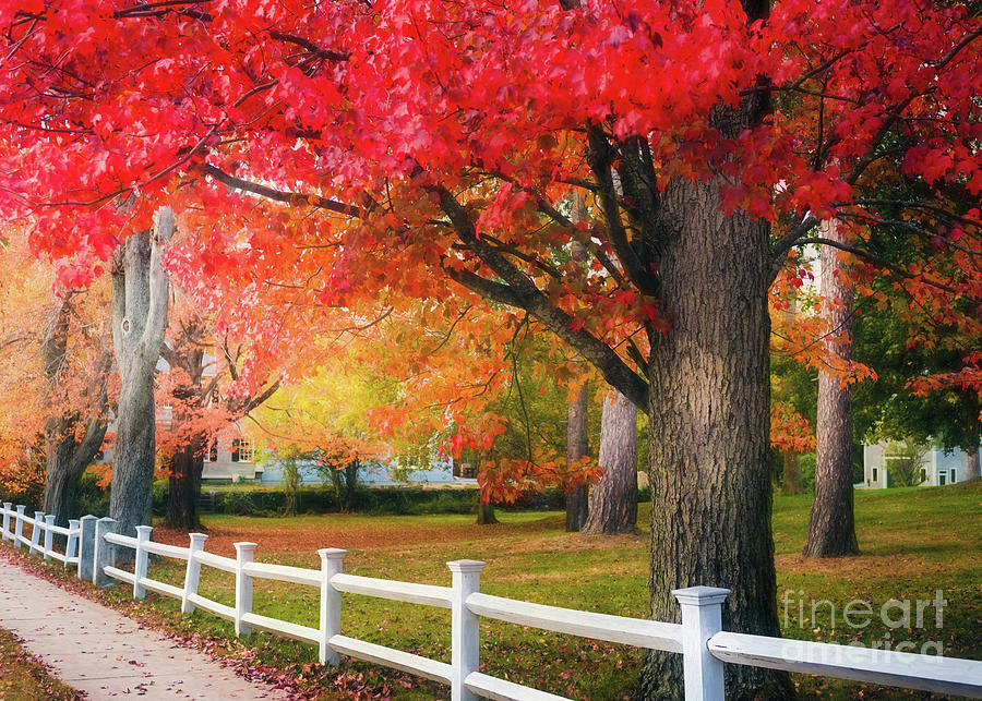 The Beauty of Autumn in New England Photograph by Anita Pollak