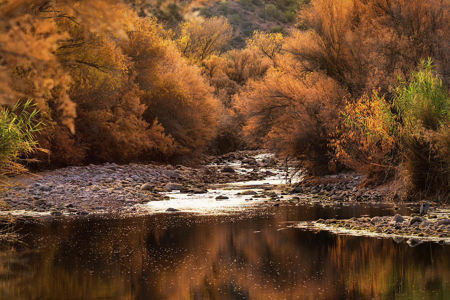 The Beauty of Autumn Reflections   Photograph by Saija Lehtonen