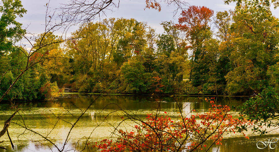 The Beauty of Fall Photograph by Robert Hooker