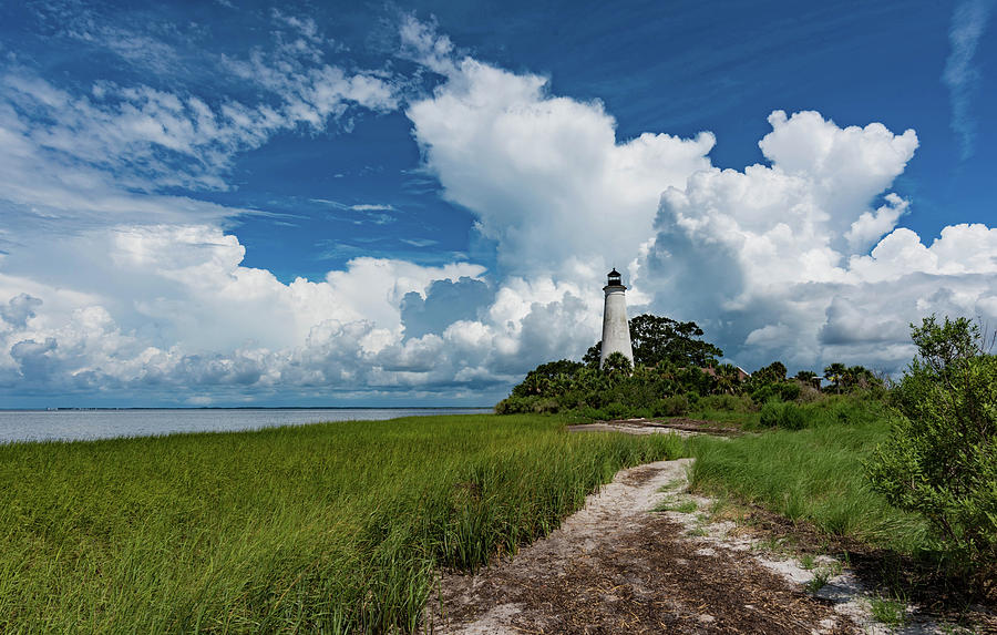 The Beauty of Florida Photograph by Jody Partin