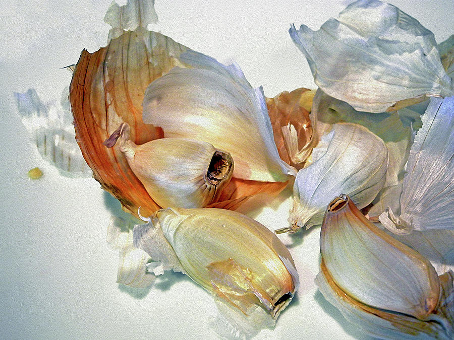 The Beauty of Garlic Photograph by Lynda Lehmann