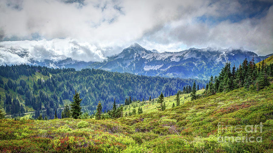 The Beauty of Mt. Rainier Photograph by Deborah Klubertanz