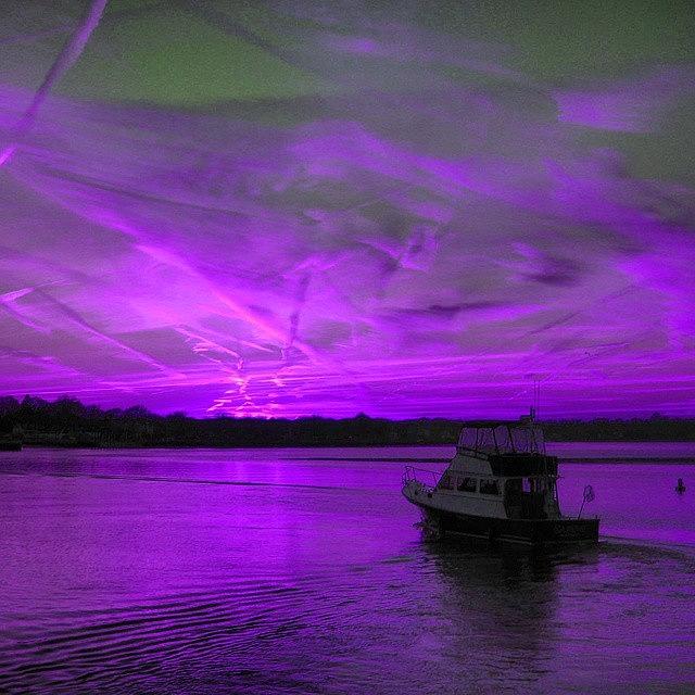 Sunset Photograph - The Beauty Of Purple by Lauren Fitzpatrick