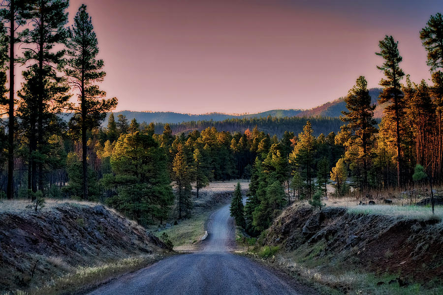 The Beauty of the Back Roads  Photograph by Saija Lehtonen