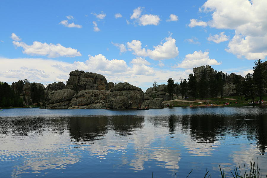 The Beauty of the Black Hills Photograph by Christiane Schulze Art And Photography
