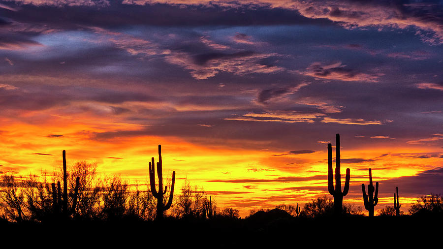 The Beauty Of The Desert Skies at Sunset  Photograph by Saija Lehtonen