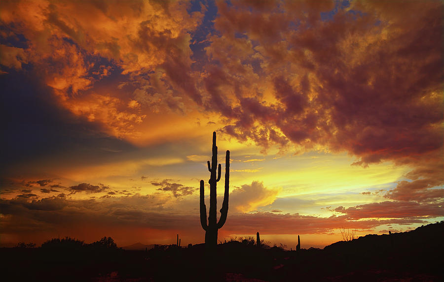 The Beauty of the Desert Skies  Photograph by Saija Lehtonen