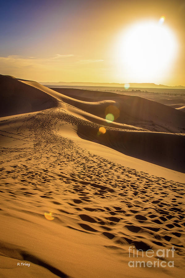 The Beauty of the Sahara Desert Photograph by Rene Triay FineArt Photos