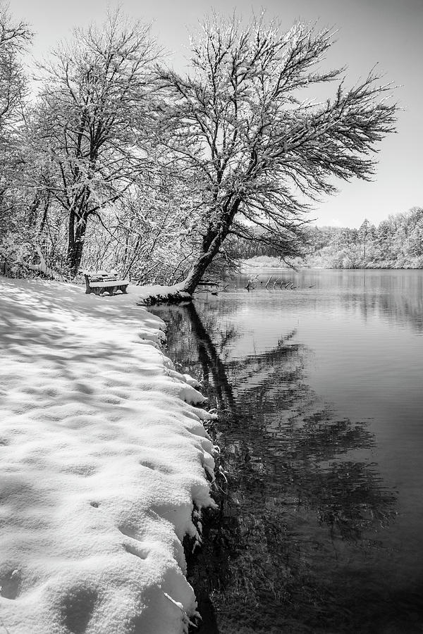 The Beauty of Winter in Black and White Photograph by Debra and Dave Vanderlaan